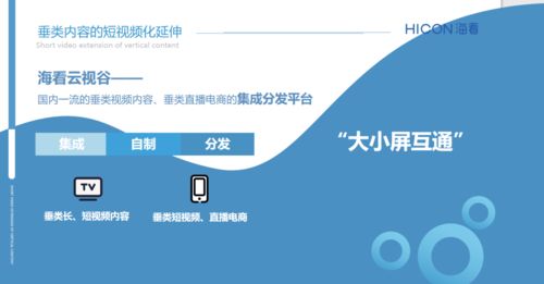 三晉論道，共話未來 ?？垂煞菰S璐璐談精品垂類內(nèi)容產(chǎn)業(yè)化與河北網(wǎng)站開發(fā)的協(xié)同發(fā)展